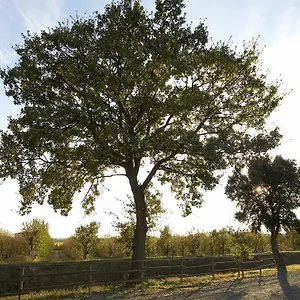 Bauernhof Lucerna Del Prile 